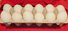 Load image into Gallery viewer, Best Duck Eggs
